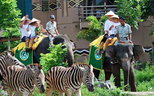 Экскурсии на бали, Катание на слонах, Safari and marine park Bali